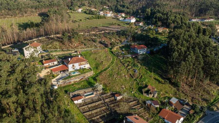 Terreno para Venda em Facha Foto 5