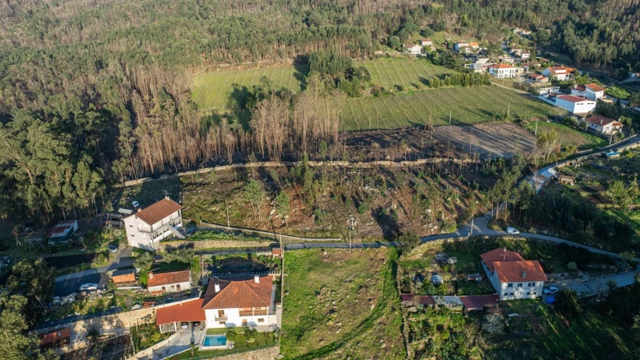 Terreno para Venda em Facha Foto 14