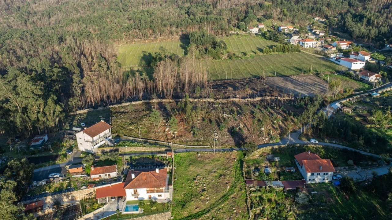 Terreno para Venda em Facha Foto 14