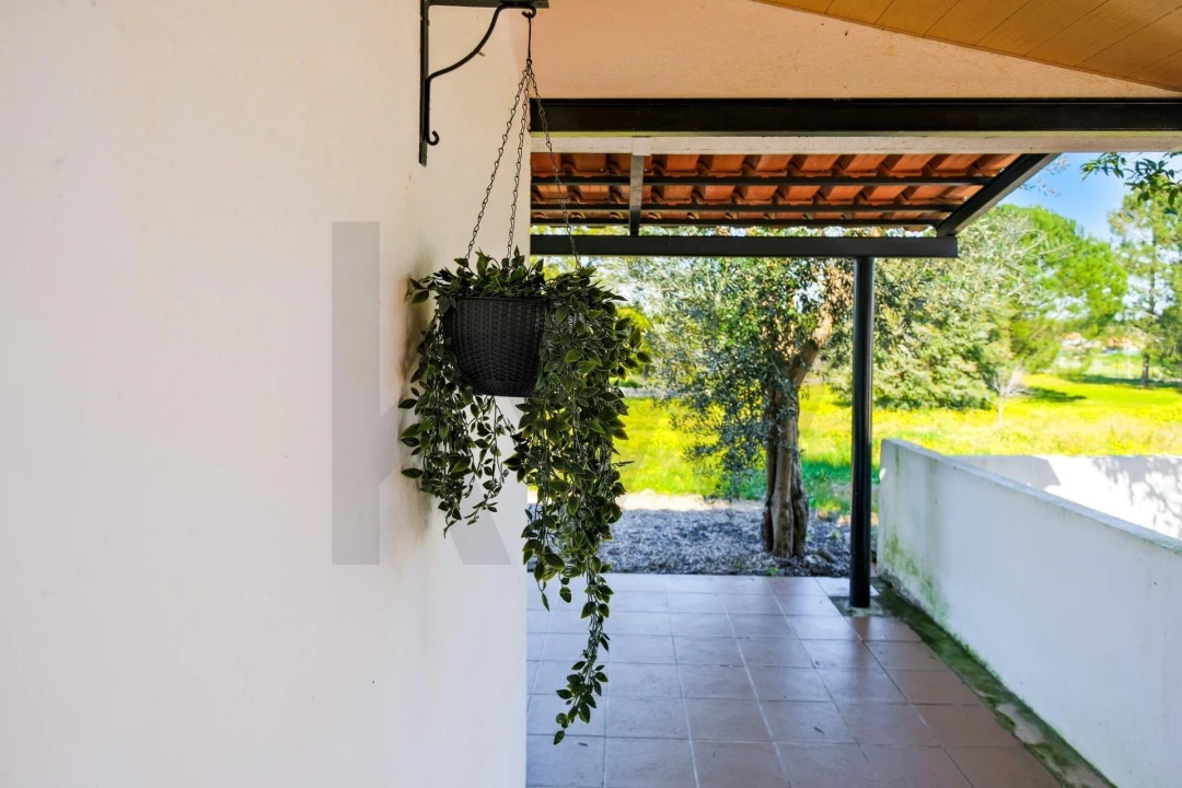 Moradia T4 para Venda em Branca Foto 57