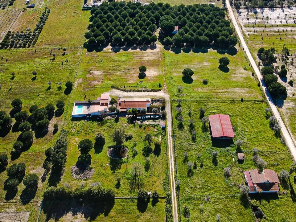 Moradia T4 para Venda em Branca Foto 58