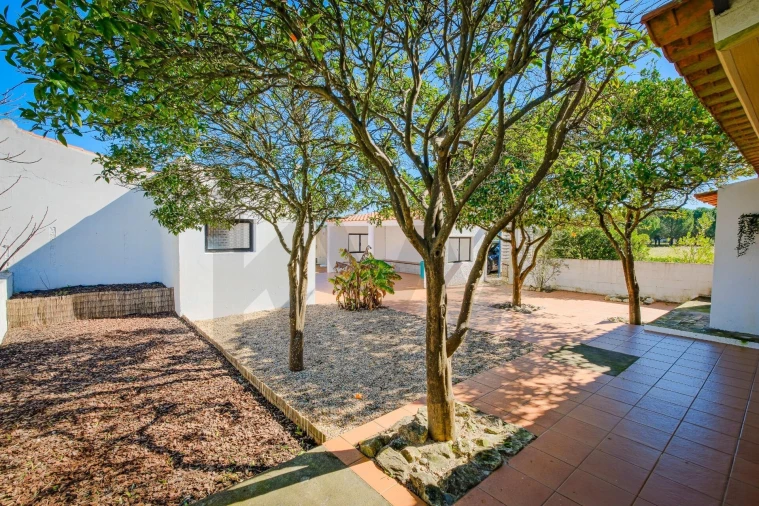 Moradia T4 para Venda em Branca Foto 49