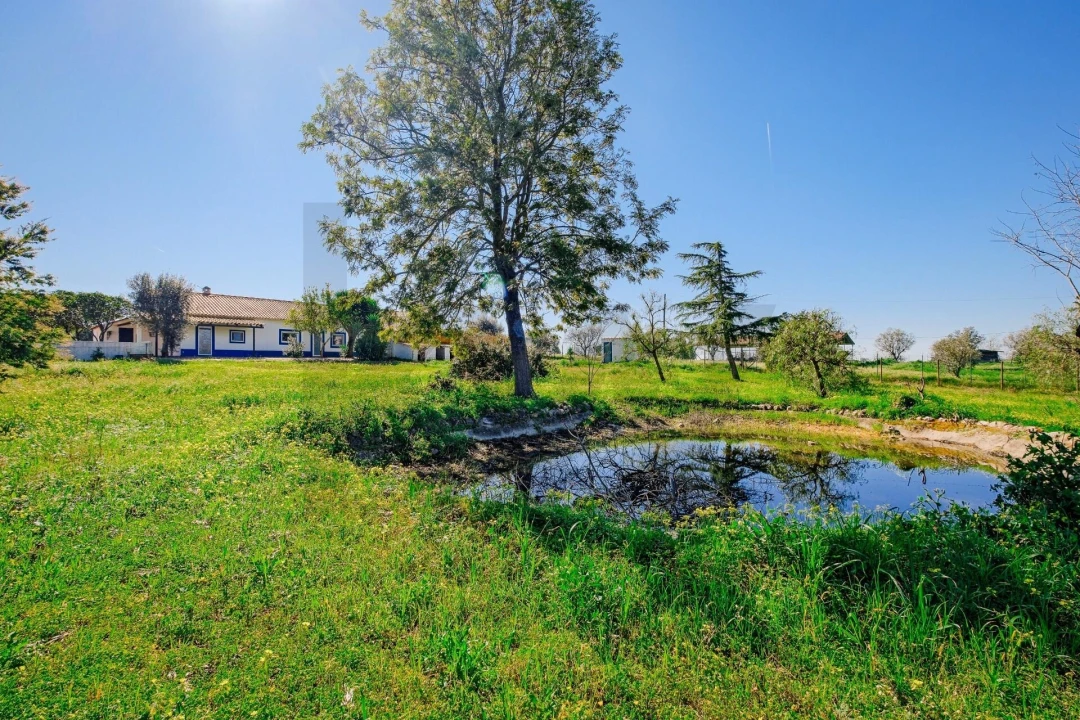 Moradia T4 para Venda em Branca Foto 52