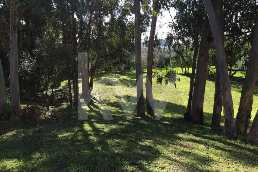 Apartamento T4 para Arrendamento em Alcabideche Foto 32