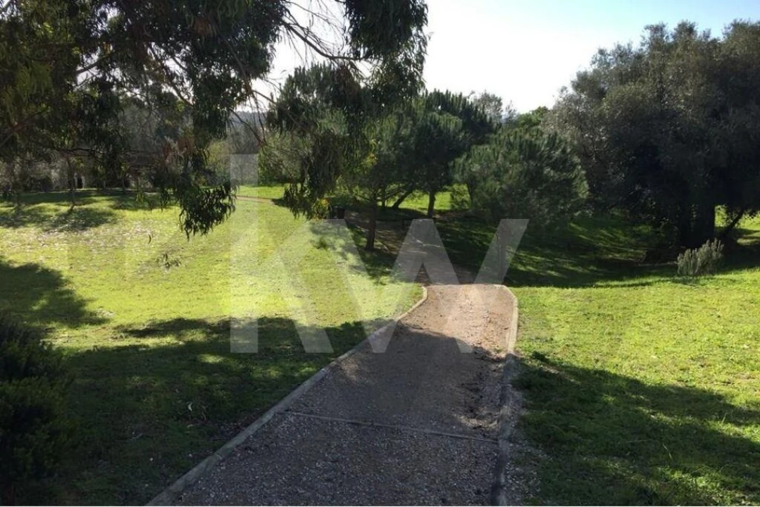 Apartamento T4 para Arrendamento em Alcabideche Foto 34