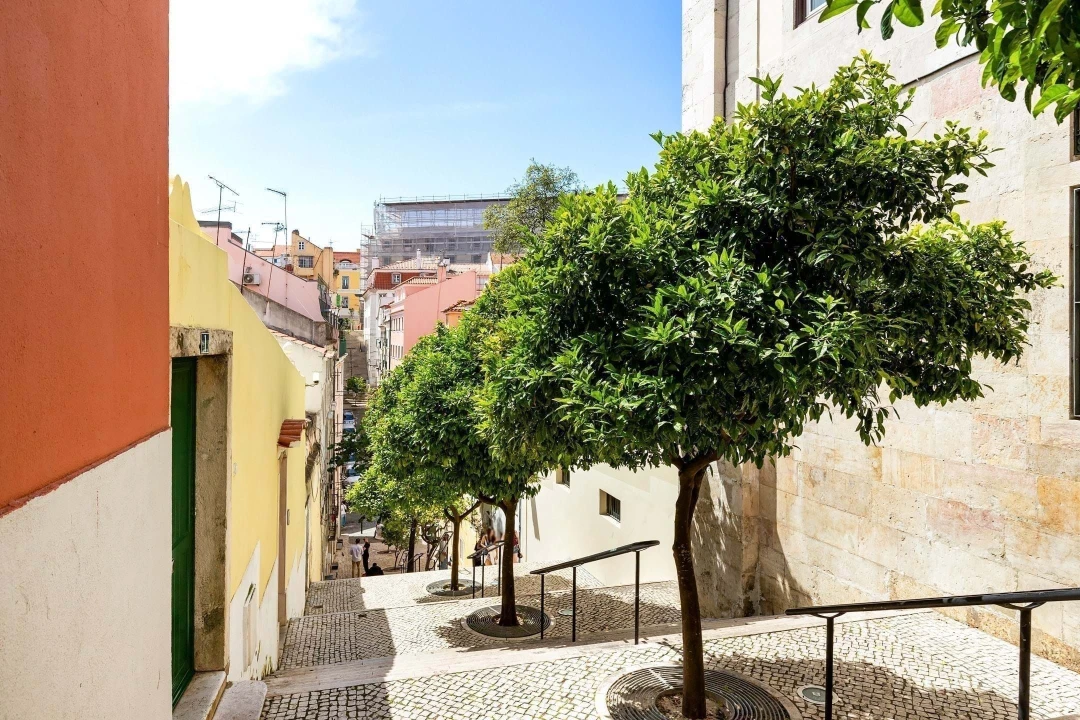 Prédio para Venda em Misericórdia Foto 15