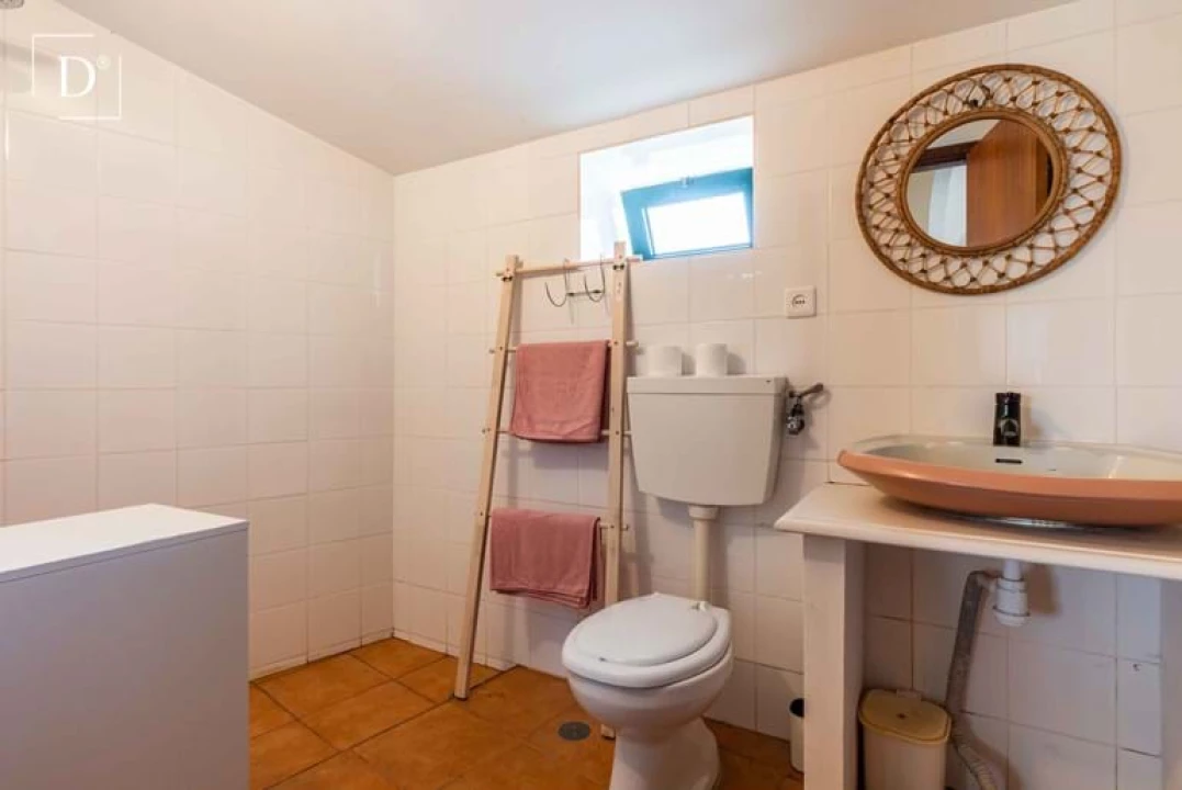 Moradia T1 para Venda em Mertola Foto 6