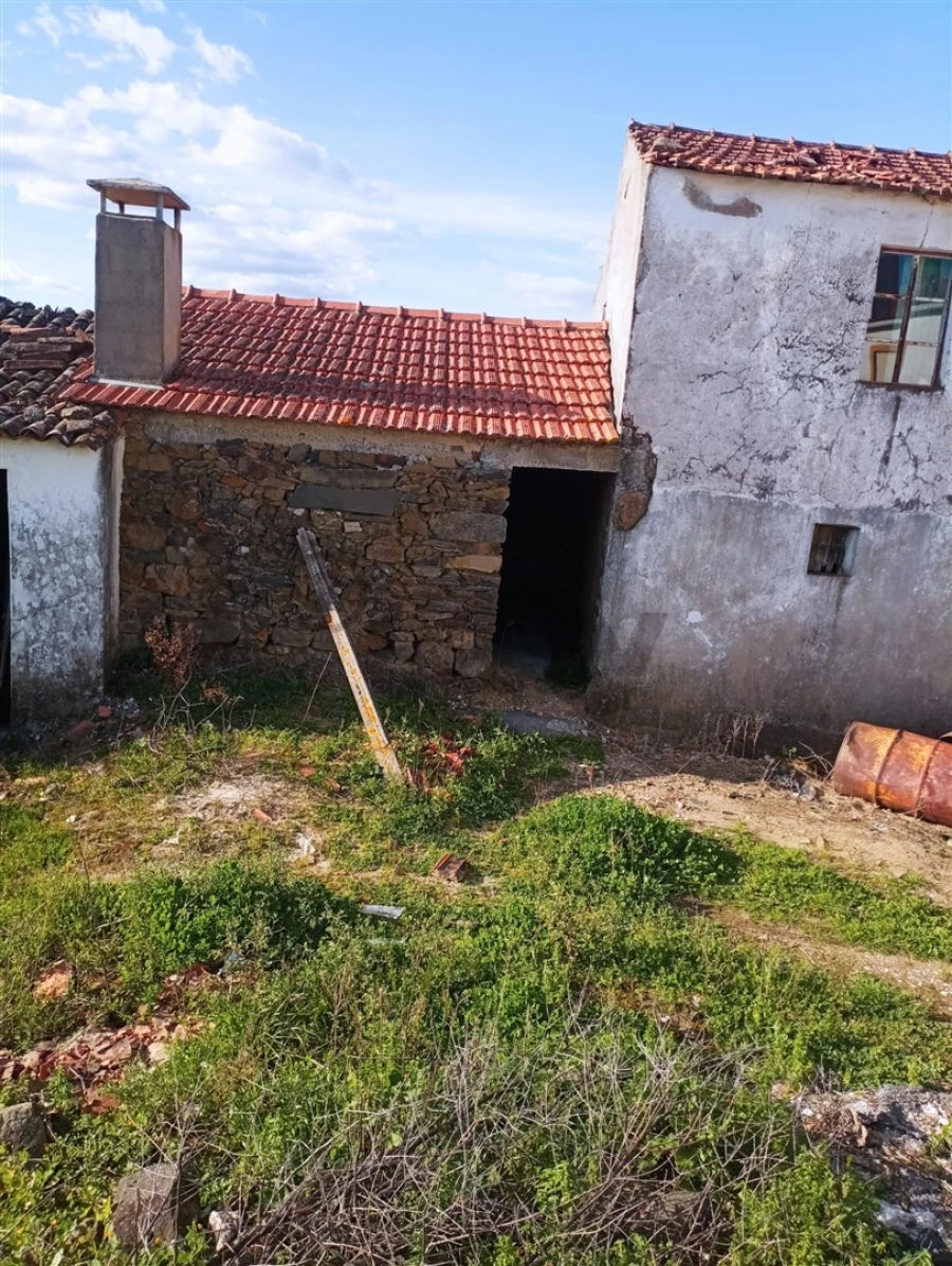 Terreno Agricola ou Rústico para Venda em Vila de Rei Foto 1