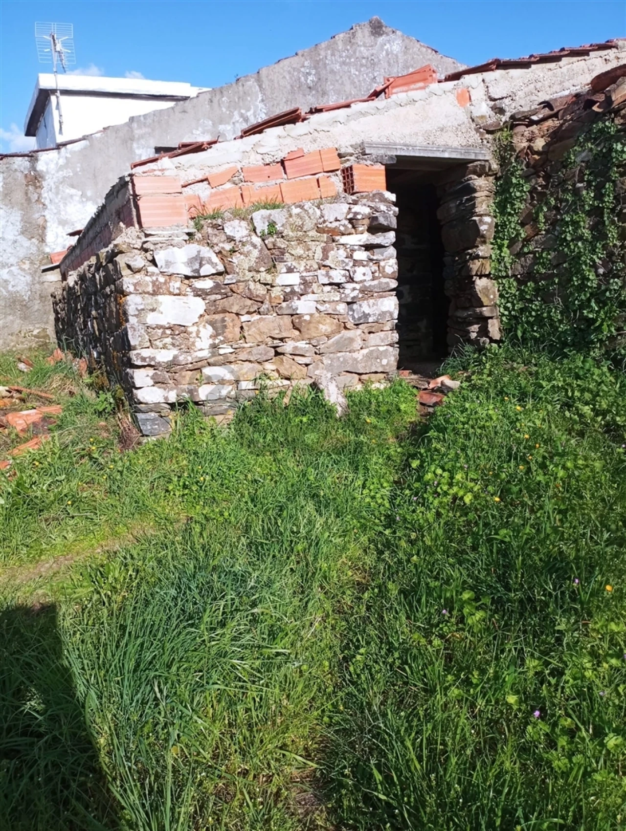 Terreno Agricola ou Rústico para Venda em Vila de Rei Foto 2