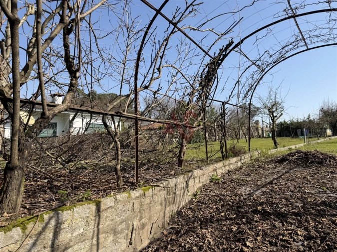 Terreno para Venda em Bairro Foto 4