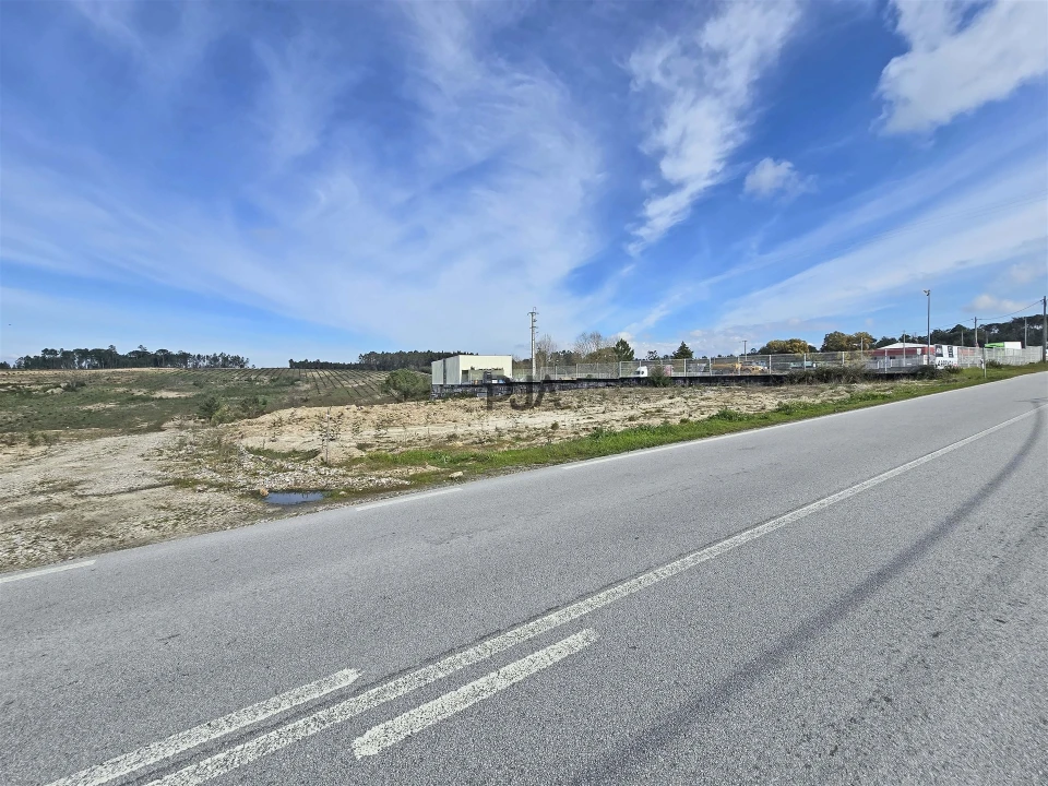 Terreno para Arrendamento em Nelas Foto 5