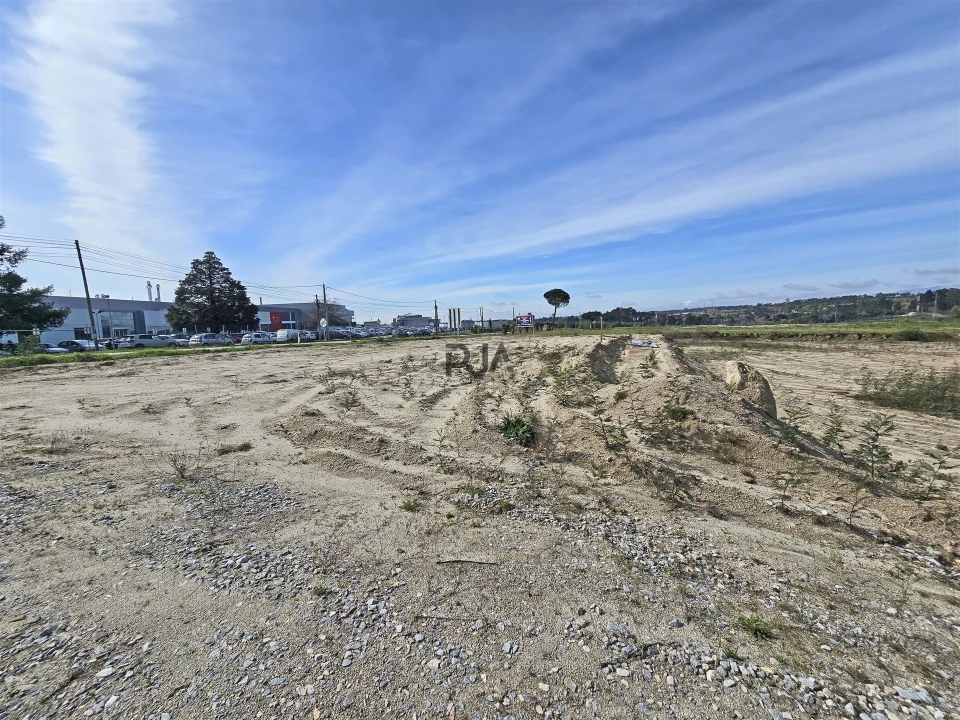 Terreno para Venda em Nelas Foto 5