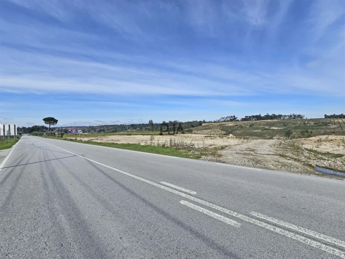 Terreno para Venda em Nelas Foto 4