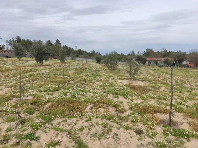 Terreno para Venda em Sezures Foto 3