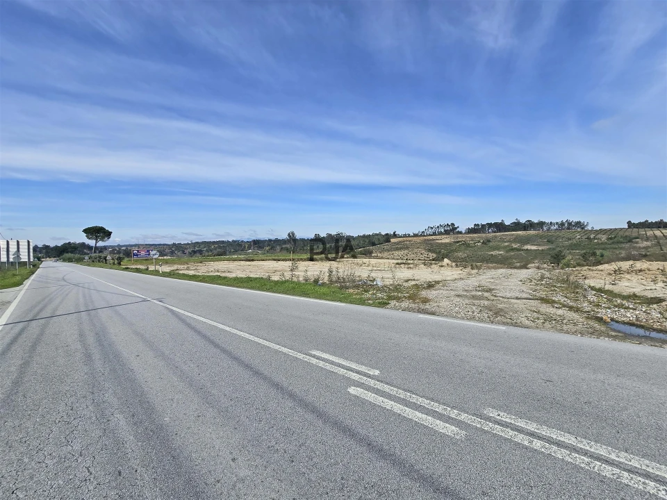 Terreno para Arrendamento em Nelas Foto 4