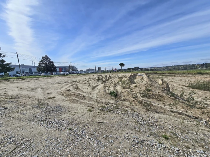 Terreno para Arrendamento em Nelas Foto 5