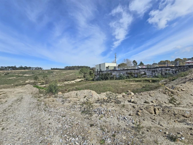 Terreno para Venda em Nelas Foto 4