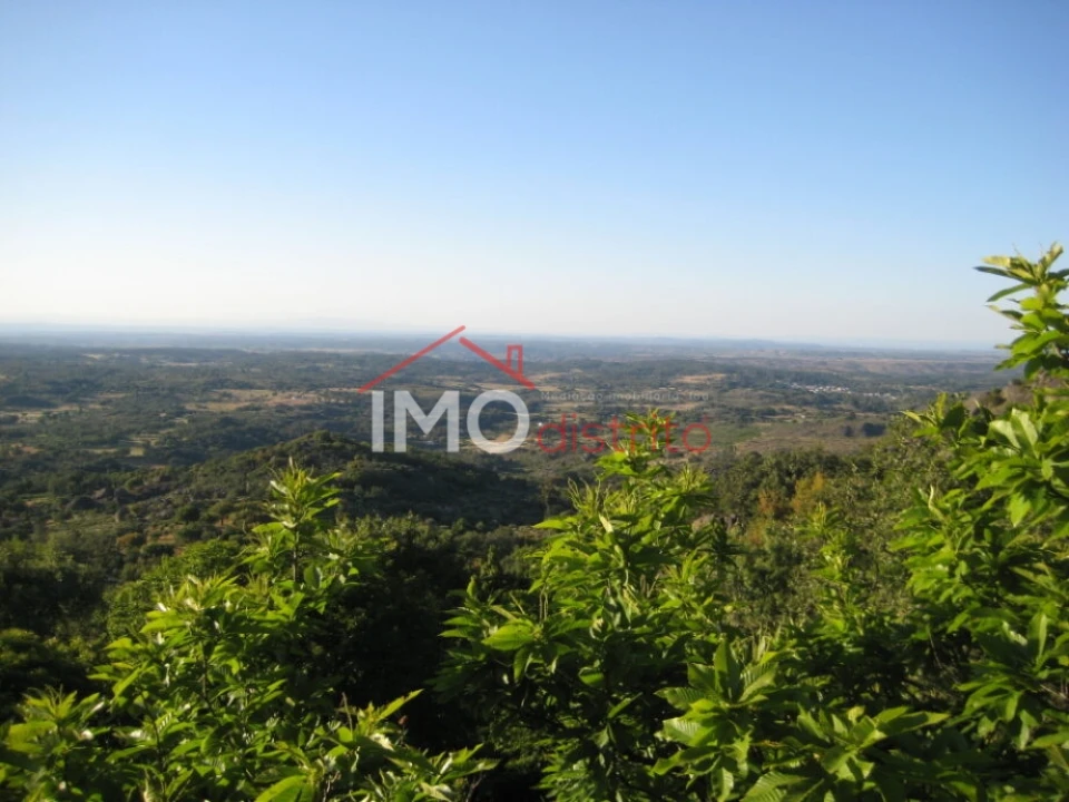Terreno Agricola ou Rústico para Venda em Santa Maria de Marvão Foto 4