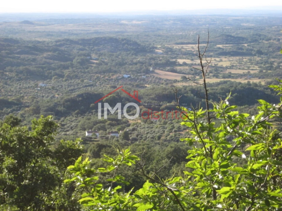 Terreno Agricola ou Rústico para Venda em Santa Maria de Marvão Foto 10