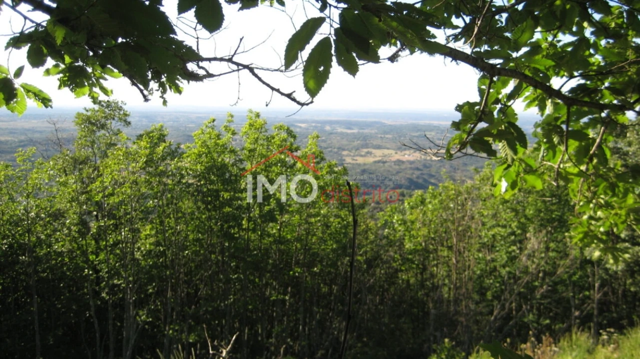 Terreno Agricola ou Rústico para Venda em Santa Maria de Marvão Foto 13