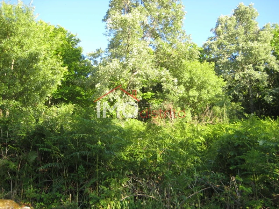 Terreno Agricola ou Rústico para Venda em Santa Maria de Marvão Foto 20