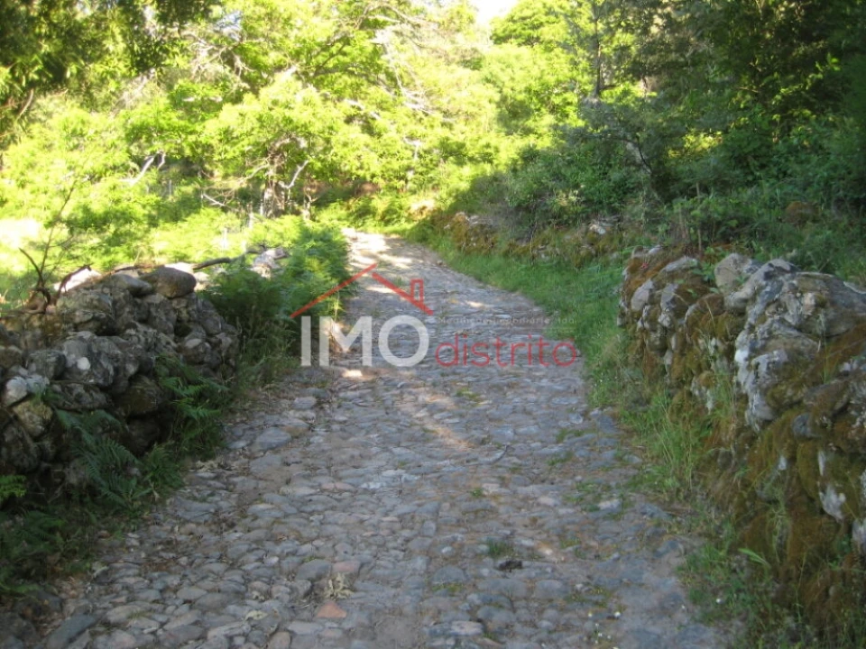 Terreno Agricola ou Rústico para Venda em Santa Maria de Marvão Foto 3