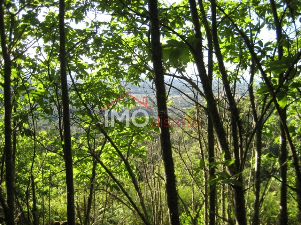Terreno Agricola ou Rústico para Venda em Santa Maria de Marvão Foto 14
