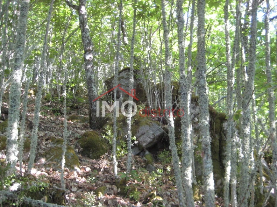 Terreno Agricola ou Rústico para Venda em Santa Maria de Marvão Foto 15