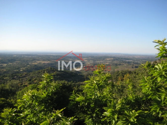 Terreno Agricola ou Rústico para Venda em Santa Maria de Marvão Foto 4