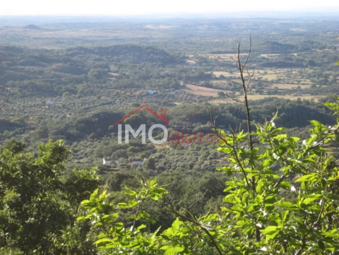 Terreno Agricola ou Rústico para Venda em Santa Maria de Marvão Foto 16