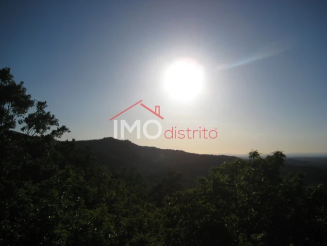 Terreno Agricola ou Rústico para Venda em Santa Maria de Marvão Foto 5