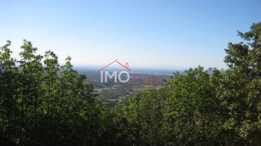 Terreno Agricola ou Rústico para Venda em Santa Maria de Marvão Foto 1