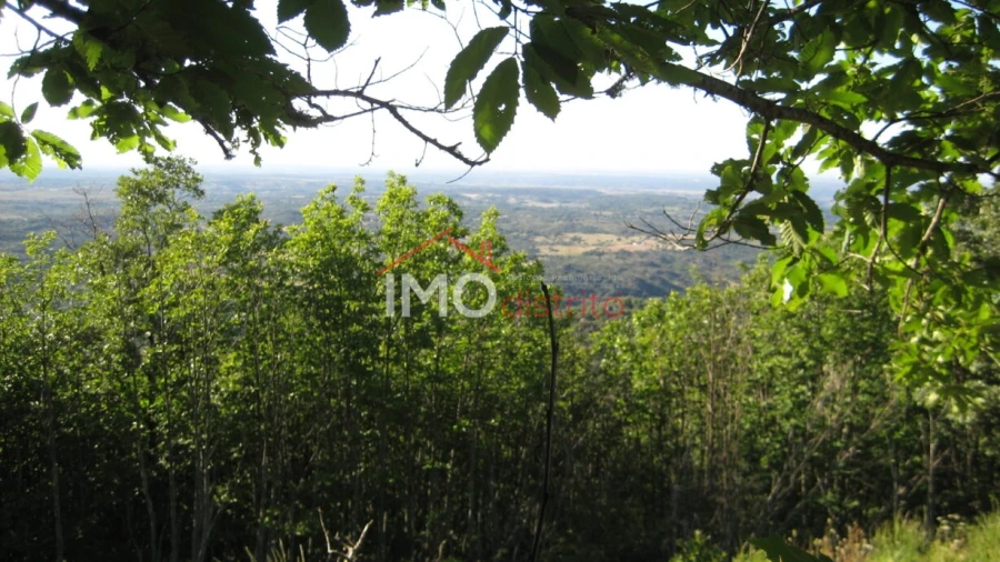Terreno Agricola ou Rústico para Venda em Santa Maria de Marvão Foto 24