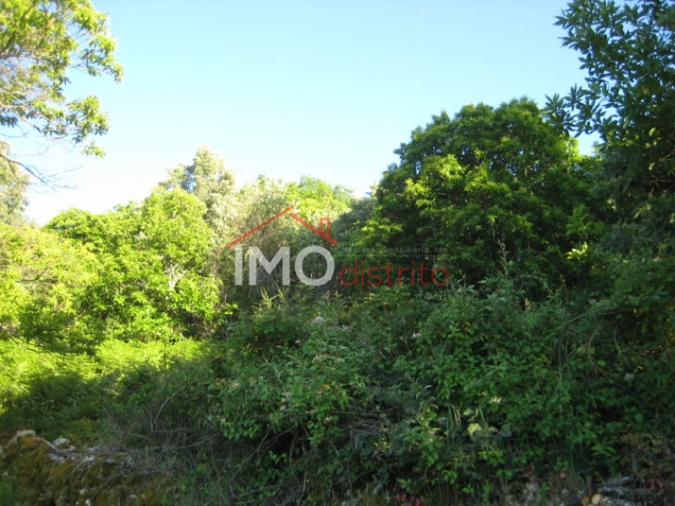 Terreno Agricola ou Rústico para Venda em Santa Maria de Marvão Foto 19