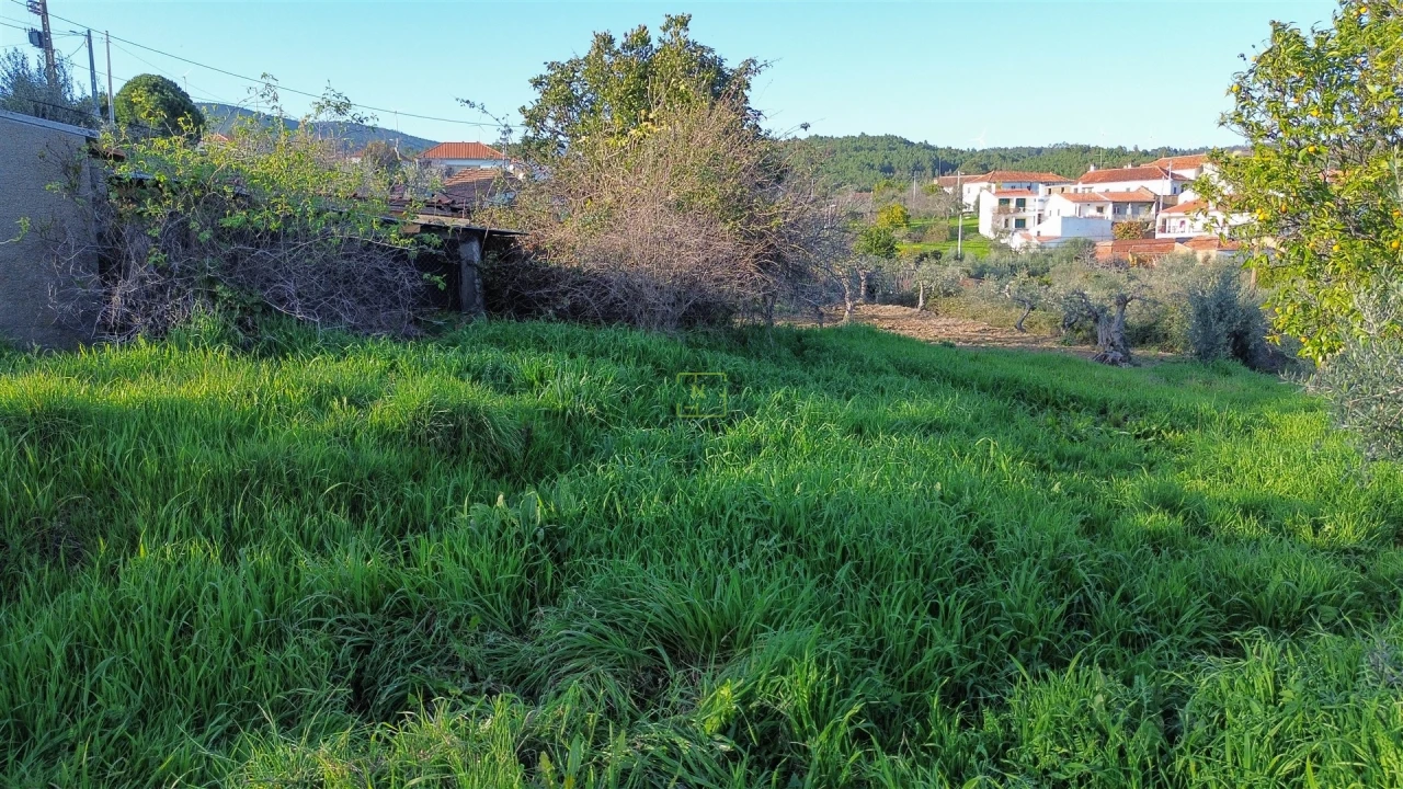Terreno para Venda em São Vicente da Beira Foto 33