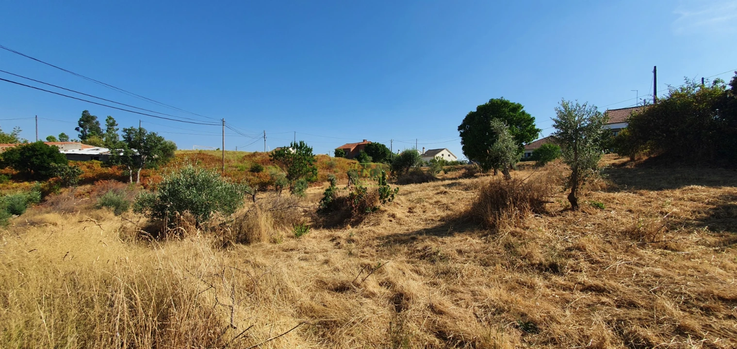 Terreno para Venda em São Vicente da Beira Foto 1