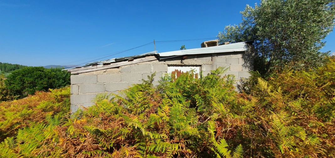 Terreno para Venda em São Vicente da Beira Foto 9
