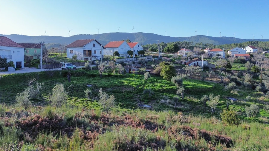 Terreno para Venda em São Vicente da Beira Foto 38