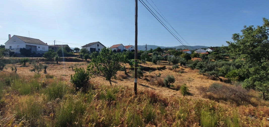 Terreno para Venda em São Vicente da Beira Foto 10