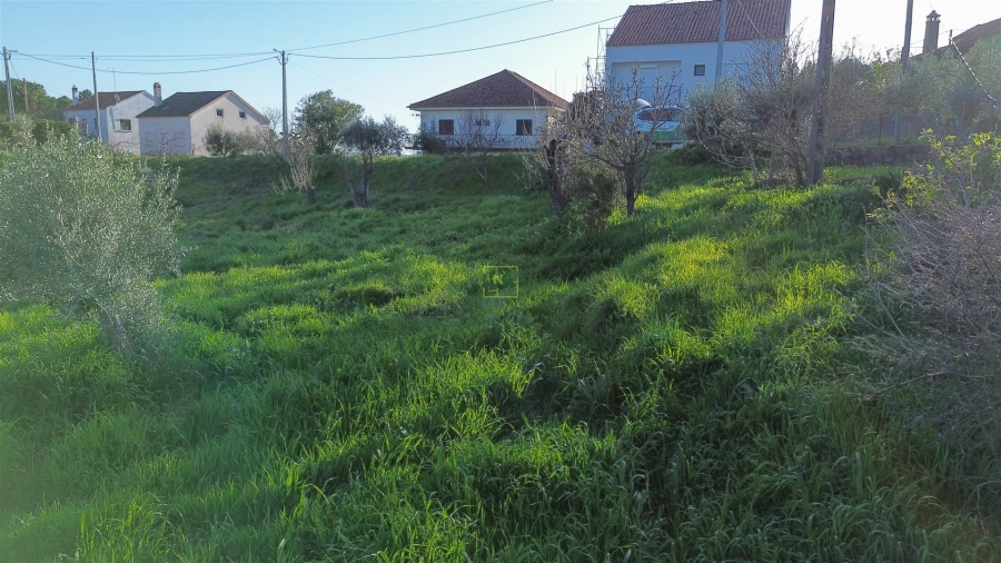 Terreno para Venda em São Vicente da Beira Foto 34
