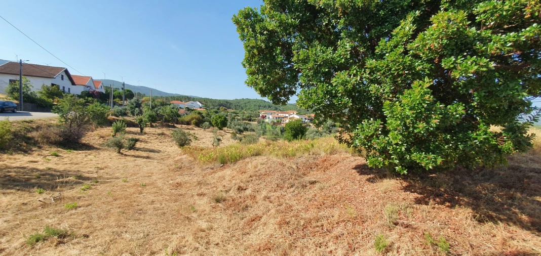 Terreno para Venda em São Vicente da Beira Foto 15