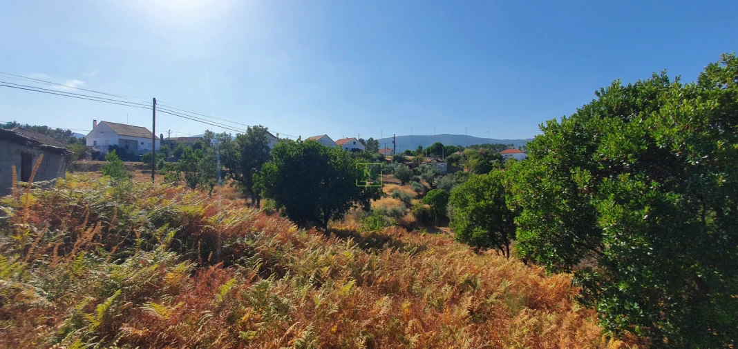 Terreno para Venda em São Vicente da Beira Foto 5
