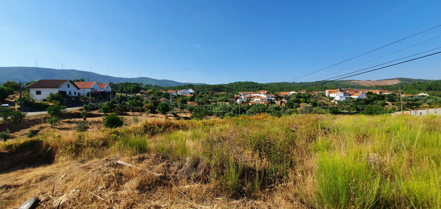 Terreno para Venda em São Vicente da Beira Foto 13