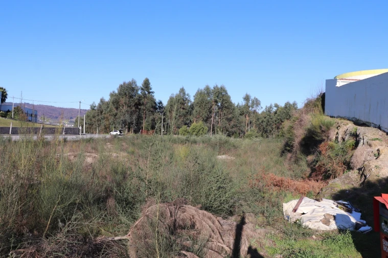 Terreno para Venda em Lodares Foto 13