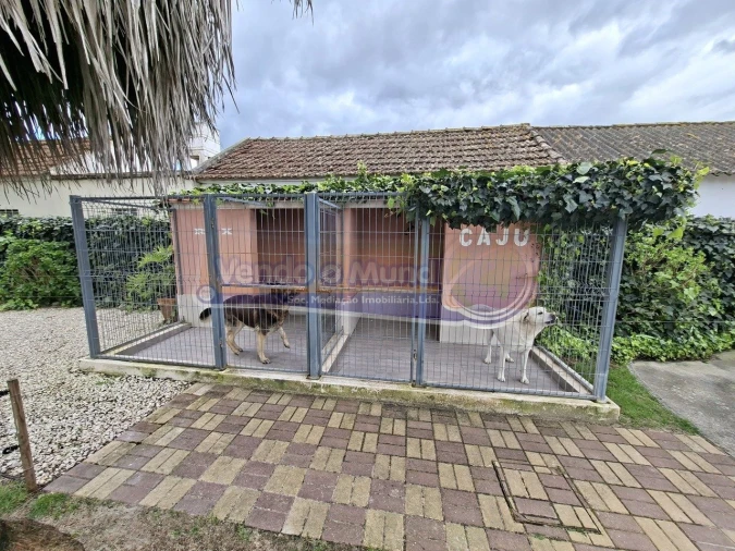 Moradia T4 para Venda em Marinhais Foto 19