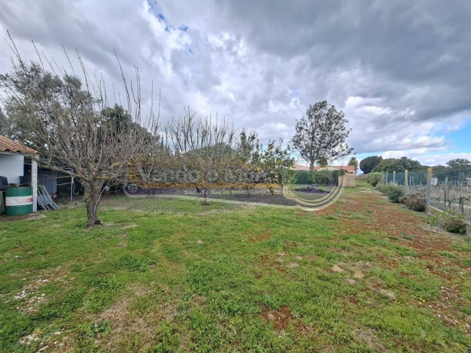 Moradia T4 para Venda em Marinhais Foto 5