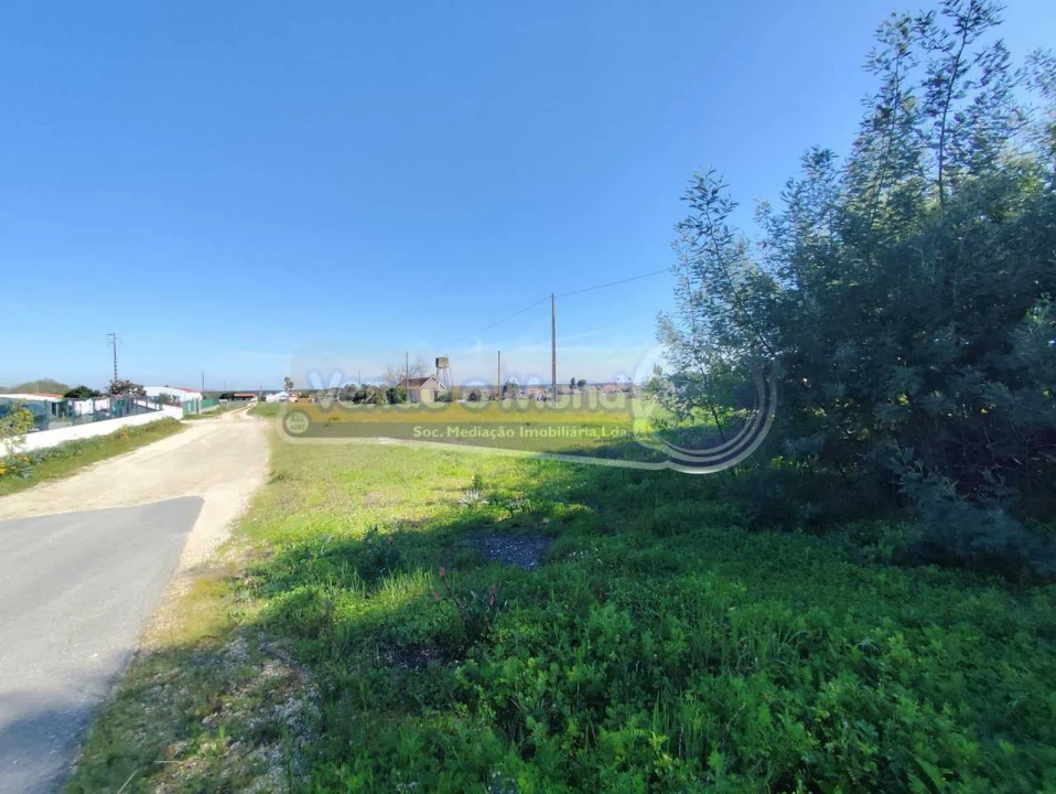 Terreno para Venda em Salvaterra de Magos e Foros de Salvaterra Foto 5