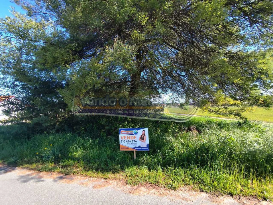 Terreno para Venda em Salvaterra de Magos e Foros de Salvaterra Foto 7