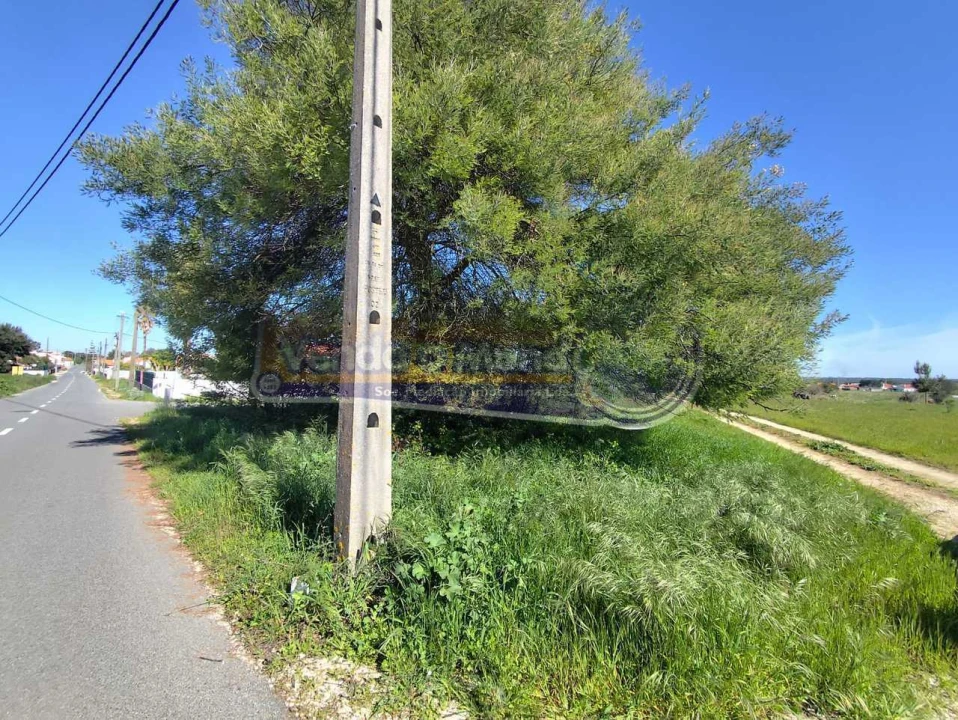 Terreno para Venda em Salvaterra de Magos e Foros de Salvaterra Foto 4