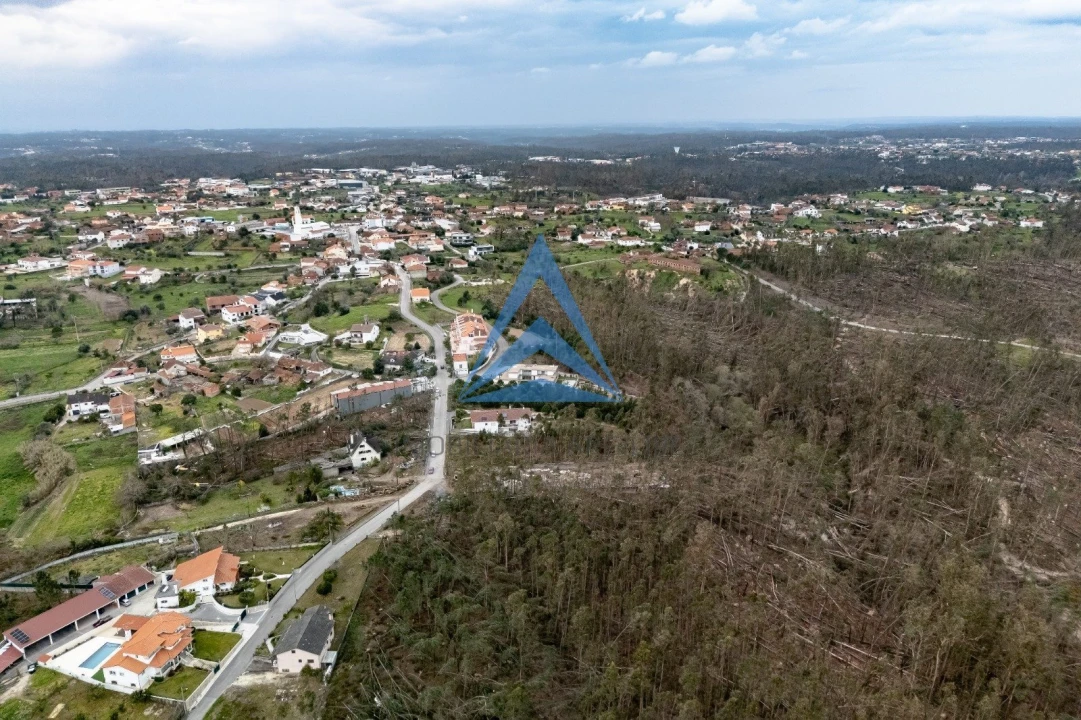 Terreno para Venda em Meirinhas Foto 7